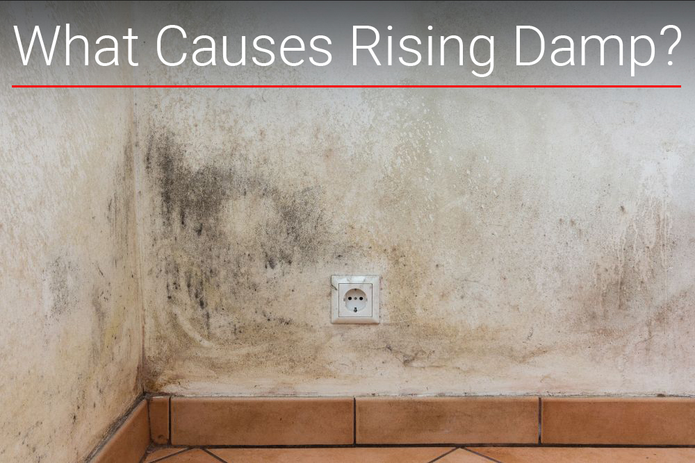What causes rising damp cover photo