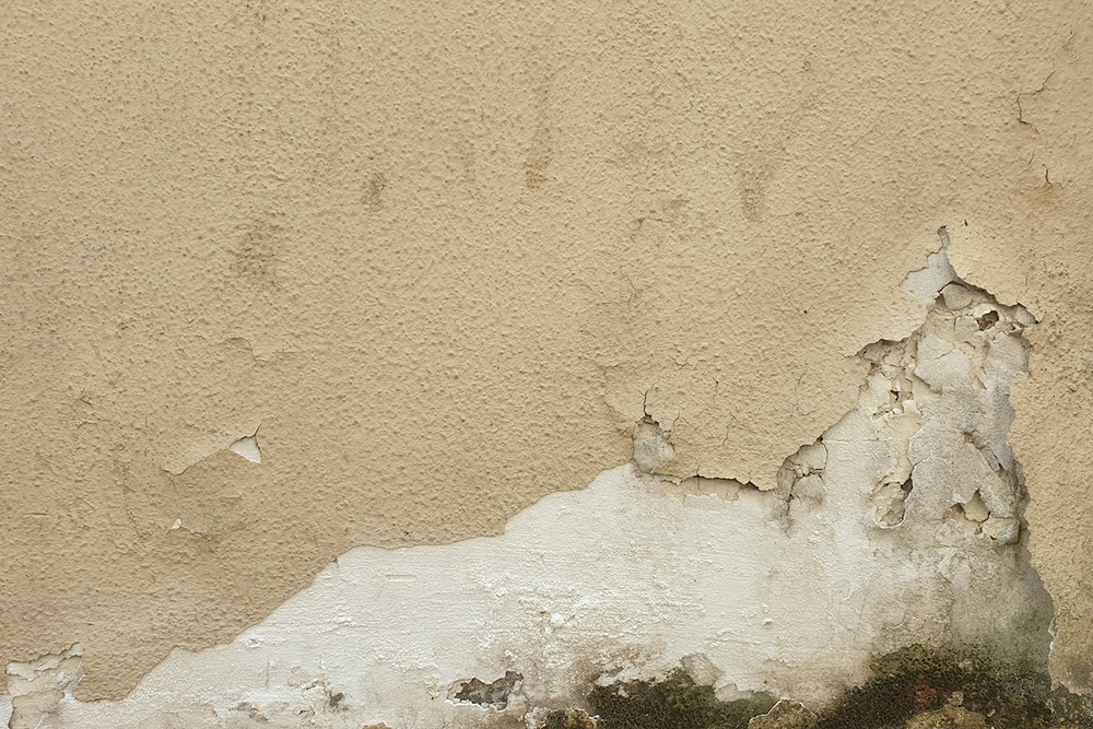 Rising dampness causing paint to peel off a wall