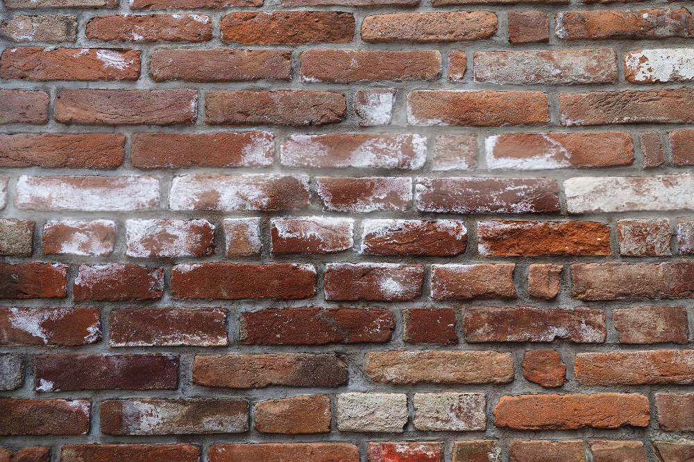 Salt damp on a brick wall